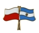 Flaga Polska - Argentyna, przypinka