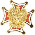 przypinka metalowa order odznaka placeholder