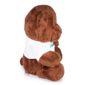 pluszowy miś Gdańsk bok maskotka souvenir