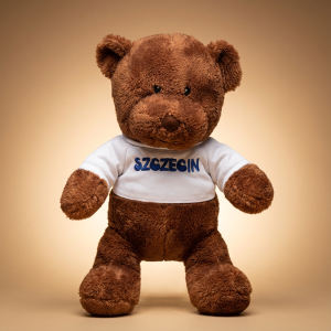 Pluszowy Miś Szczecin