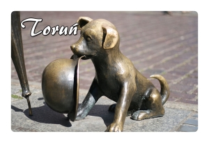 Magnes 2D zmieniające obrazy -TORUŃ