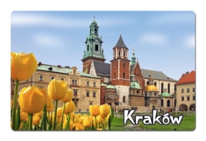 Magnes z efektem 3D Kraków Wawel