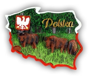 Magnes kontur Polska żubry