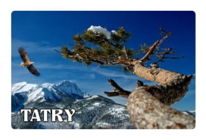 Magnes z efektem 3D Zakopane - Tatry