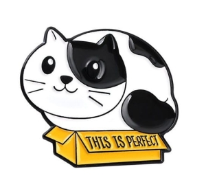 Metalowa przypinka, kot w pudełku