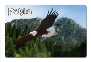 Magnes z efektem 3D Polska - góry