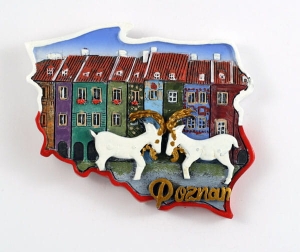 Magnes kontur Poznań koziołki