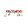 magnes Przemyśl zawieszki ratusz zamek pamiątka z miasta
