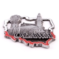Magnes metalowy Oława Polska trójwymiarowy widok