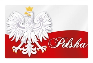 Magnes z efektem 3D Polska