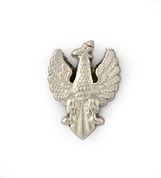 pin_orzel_18wieczny_573.jpg