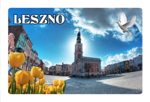 Magnes z efektem 3D Leszno - rynek