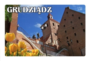 Magnes z efektem 3D Grudziądz